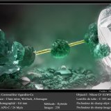 Cornwallite on Agardite - Ce
fov 0.6 mm
(Autor: ploum)