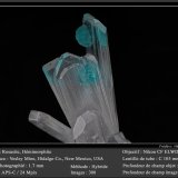 Rosasite and Hemimorphite
fov 1.7 mm
(Autor: ploum)