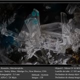 Rosasite and Hemimorphite
fov 3.5 mm
(Autor: ploum)