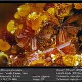 Beraunite and Cacoxenite
fov 1.0 mm
(Autor: ploum)