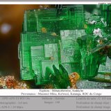 Metatorbernite
fov 3.0 mm
(Autor: ploum)