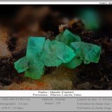 Adamite (variety cuprian adamite)
fov 6.0 mm
(Autor: ploum)