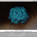 Wroevolfeite
fov 2.4 mm
(Autor: ploum)
