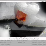 Fluornatropyrochlore
fov 2.4 mm
(Autor: ploum)