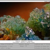 Adamite and Agardite-(Y)
fov 2.5 mm
(Autor: ploum)