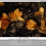 Cacoxenite
fov 1.2 mm
(Autor: ploum)