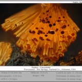 Cacoxenite
fov 0.45 mm
(Autor: ploum)