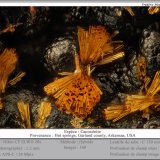 Cacoxenite
fov 1.2 mm
(Autor: ploum)