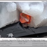 Fluornatropyrochlore
fov 2.3 mm
(Autor: ploum)