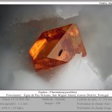 Fluornatropyrochlore
fov 1.2 mm
(Autor: ploum)