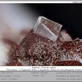 Fluorite on Quartz
fov 5.5 mm
(Autor: ploum)