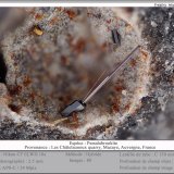 Pseudobrookite
fov 2.5 mm
(Autor: ploum)