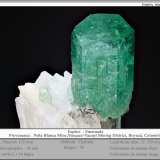Beryl (variety emerald)
fov 18 mm
(Autor: ploum)