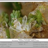 Pyromorphite and Quartz
fov 12 mm
(Autor: ploum)