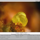 Duftite on Calcite
fov 1.8 mm
(Autor: ploum)