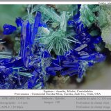 Azurite, Mixite and Conichalcite
fov 3.5 mm
(Autor: ploum)