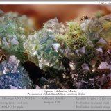 Adamite and Mixite
fov 3.5 mm
(Autor: ploum)