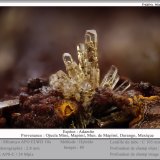 Adamite
fov 2.8 mm
(Autor: ploum)