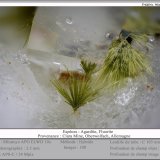 Agardite (Series) on Fluorite
fov 3.5 mm
(Autor: ploum)