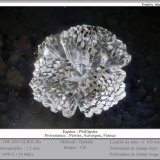 Phillipsite
fov 1.7 mm
(Autor: ploum)