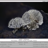 Phillipsite
fov 2.6 mm
(Autor: ploum)