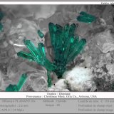 Dioptase on Calcite
fov 2.6 mm
(Autor: ploum)
