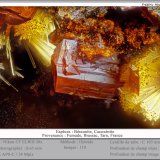 Beraunite and Cacoxenite
fov 0.65 mm
(Autor: ploum)