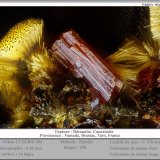 Beraunite and Cacoxenite
fov 0.6 mm
(Autor: ploum)