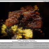 Beraunite and Cacoxenite
fov 0.6 mm
(Autor: ploum)