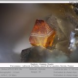 Anatase
fov 1.8 mm
(Autor: ploum)