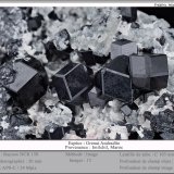 Andradite
fov 20 mm
(Autor: ploum)