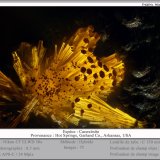 Cacoxenite
fov 0.50 mm
(Autor: ploum)