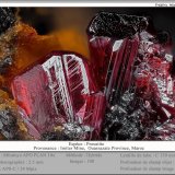 Proustite
fov 2.5 mm
(Autor: ploum)