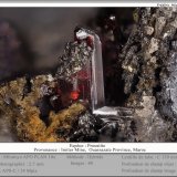 Proustite
fov 2.7 mm
(Autor: ploum)