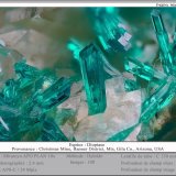 Dioptase
fov 2.4 mm
(Autor: ploum)