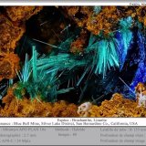 Brochantite
fov 2.7 mm
(Autor: ploum)
