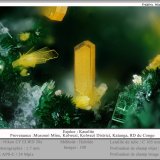 Kasolite
fov 1.7 mm
(Autor: ploum)