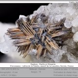 Rutile and Hematite
fov 8 mm
(Autor: ploum)