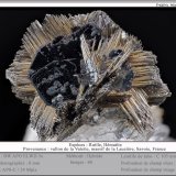 Rutile and Hematite
fov 8 mm
(Autor: ploum)