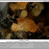 Laueite
fov 1.6 mm
(Autor: ploum)