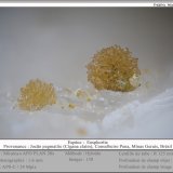 Eosphorite
fov 1.6 mm
(Autor: ploum)