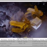 Mimetite and Fluorite
fov 1.7 mm
(Autor: ploum)