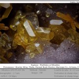 Wulfenite and Mimetite
fov 1.7 mm
(Autor: ploum)