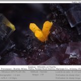 Mimetite and Fluorite
fov 1.6 mm
(Autor: ploum)