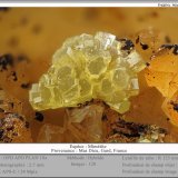 Mimetite
fov 2.7 mm
(Autor: ploum)