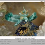 Malachite
fov 3.4 mm
(Autor: ploum)
