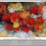 Carminite and Beudantite
fov 0.70 mm
(Autor: ploum)