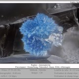 Jeremejevite
fov 0.60 mm
(Autor: ploum)