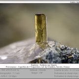 Epidote on Quartz
fov 7.5 mm
(Autor: ploum)
