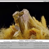 Epidote and amiante
fov 7.5 mm
(Autor: ploum)